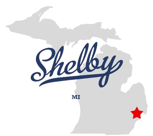 shelby (1)